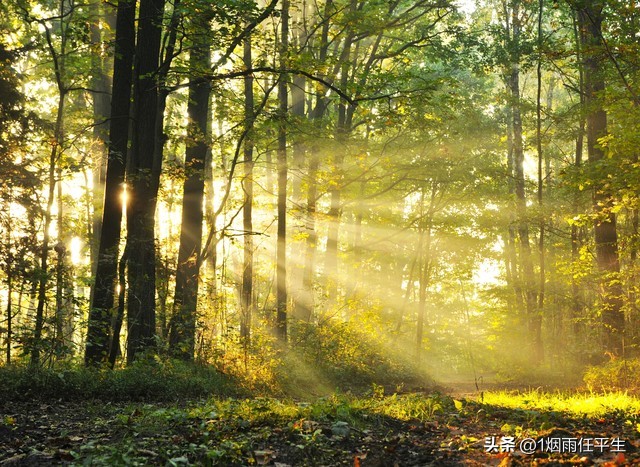 夏天跑步需要避免高温吗,高温跑步注意事项大全