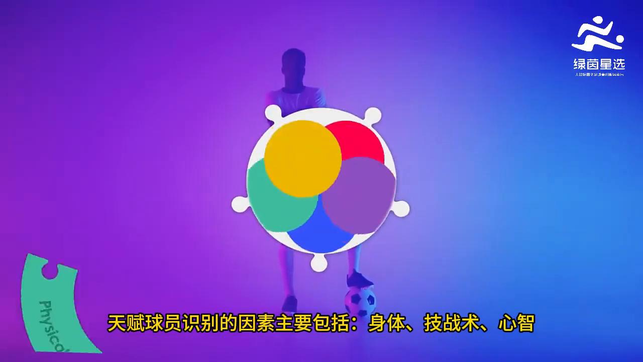 绿茵星选足球大脑测试,绿茵足球测评