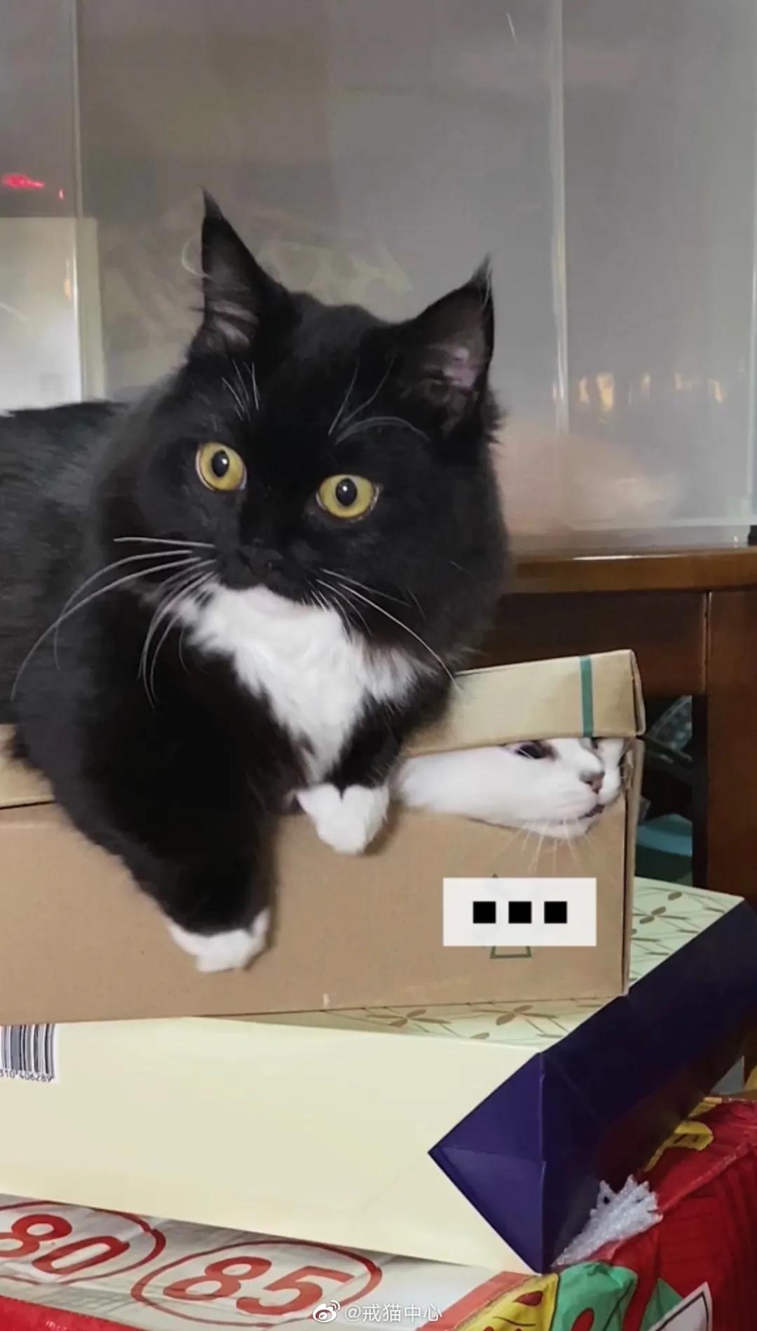 家里监控回放太揪心,家庭监控真实事件