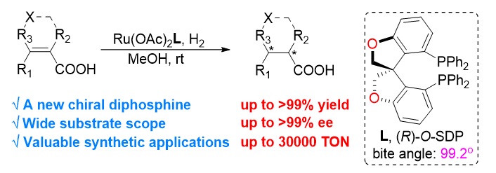 南科大张绪穆,张绪穆为什么离开武大