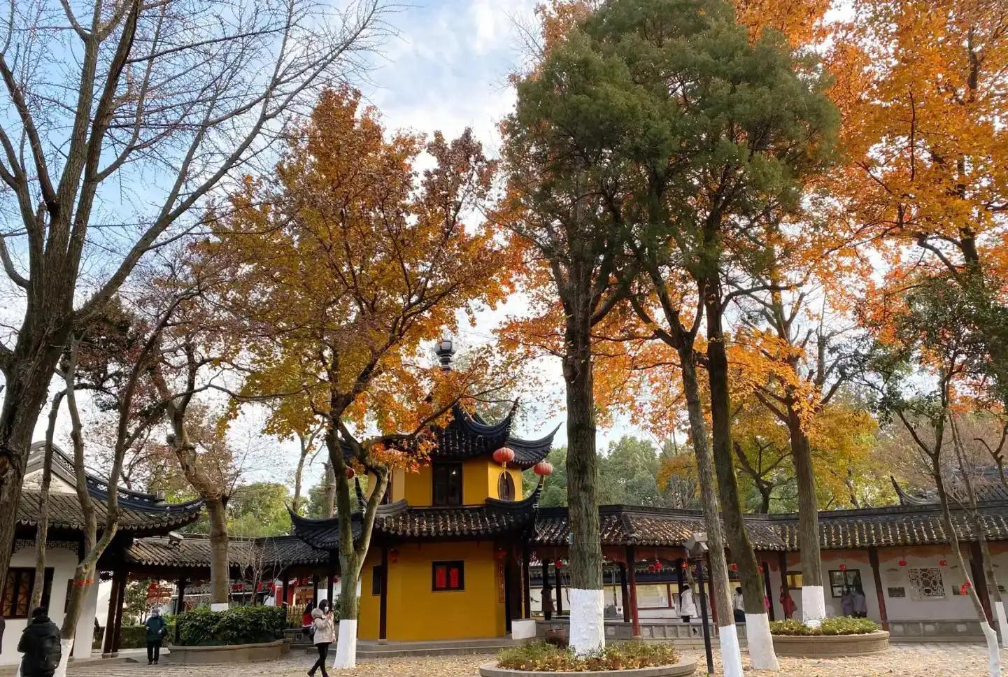 苏州秋季旅游最值得去的地方,苏州赏秋一日游攻略