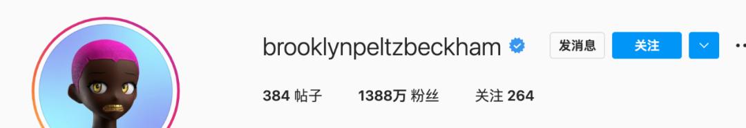 现实版豪门赘婿,现代豪门赘婿