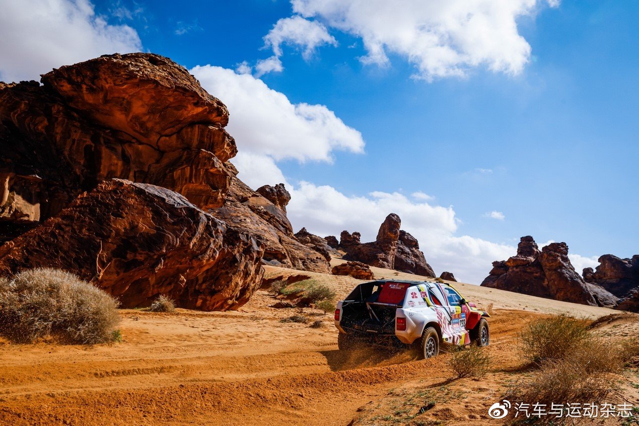 达喀尔冠军中国,达喀尔拉力赛2009年冠军