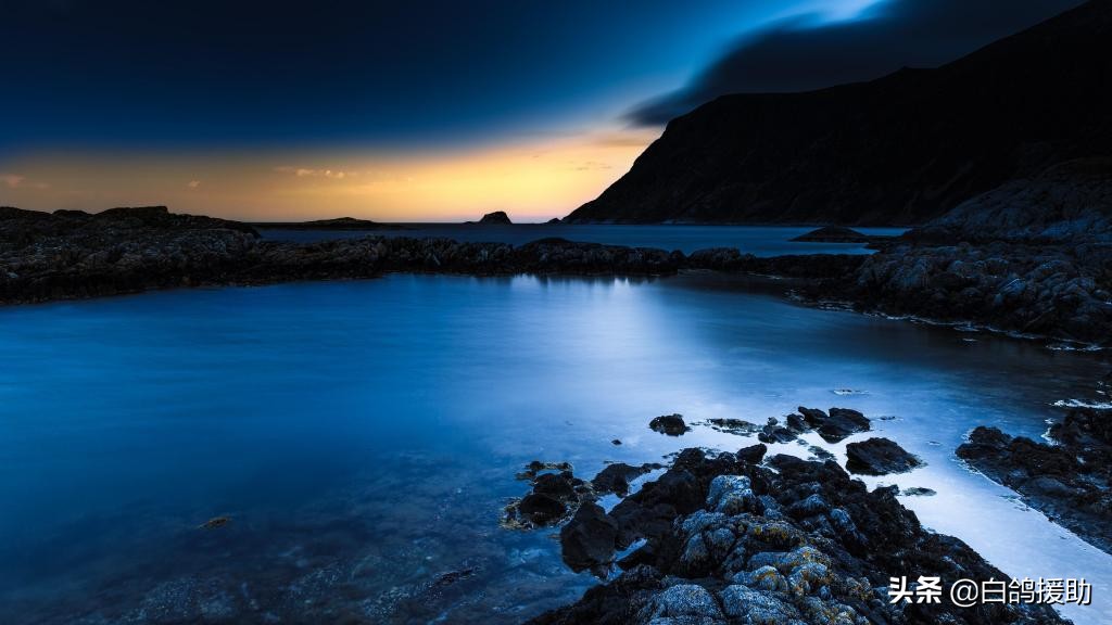 加盟公司骗加盟费,加盟商骗局怎么要求索赔