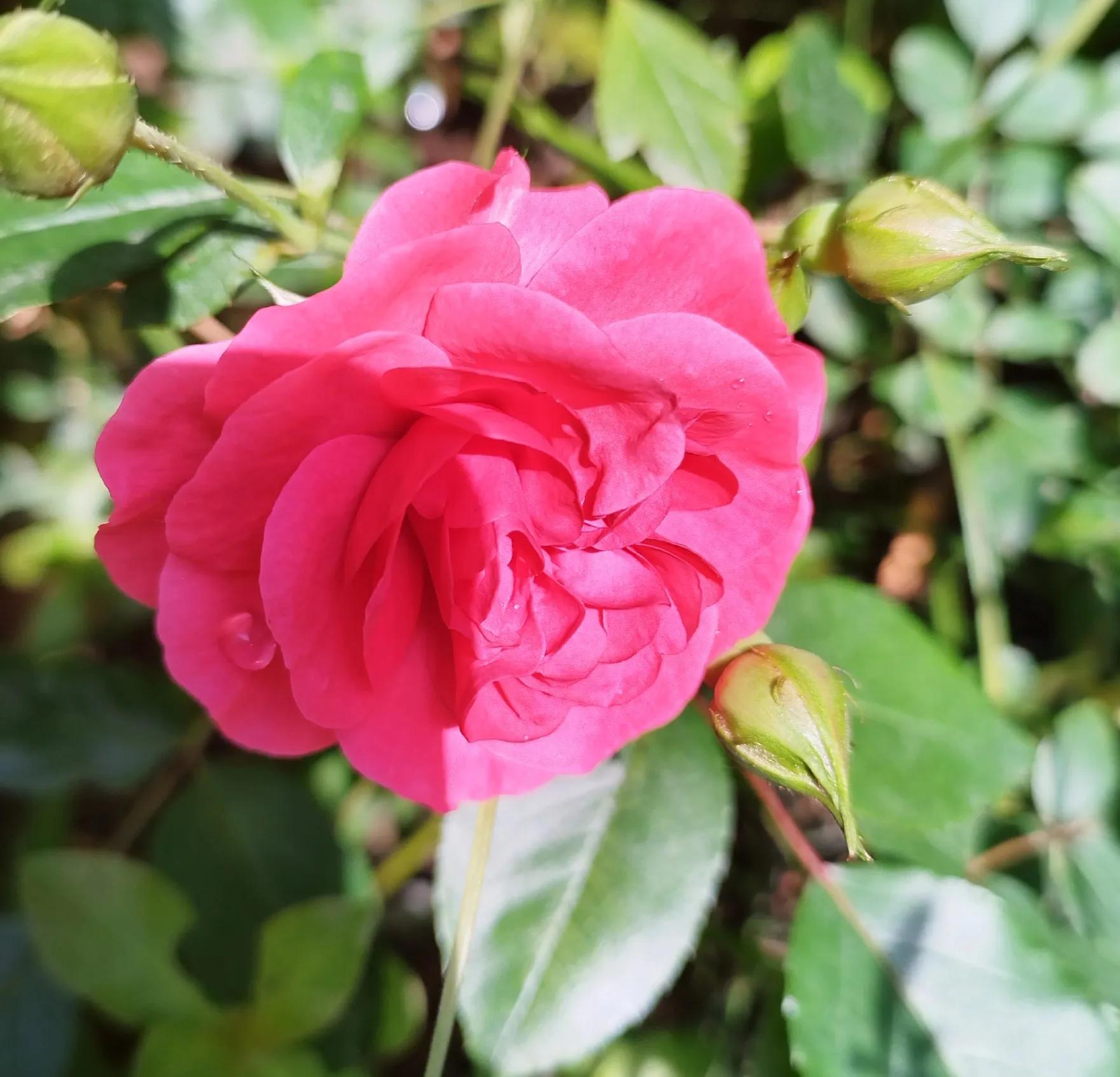 老公总是对孩子大口大叫,挑战30天教孩子写作业不生气