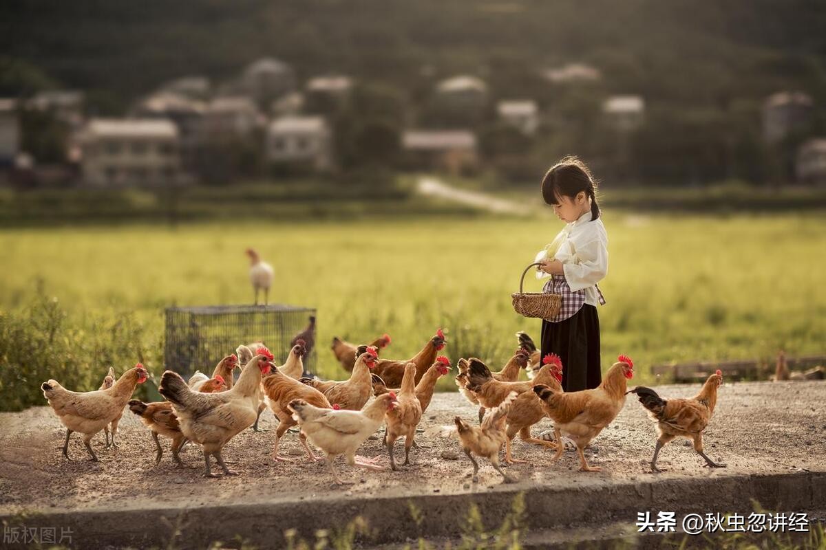 父母区别对待子女该怎么办,父母偏向子女应该怎样对待