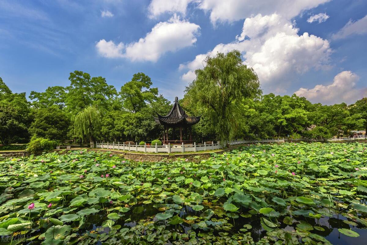 南京旅游攻略景点必去免门票,南京免费游玩景点推荐攻略