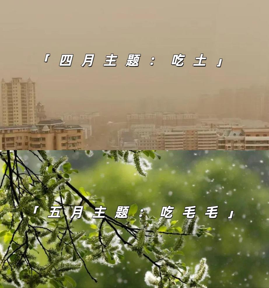 空气消毒机哪个值得入手,空气消毒机300元