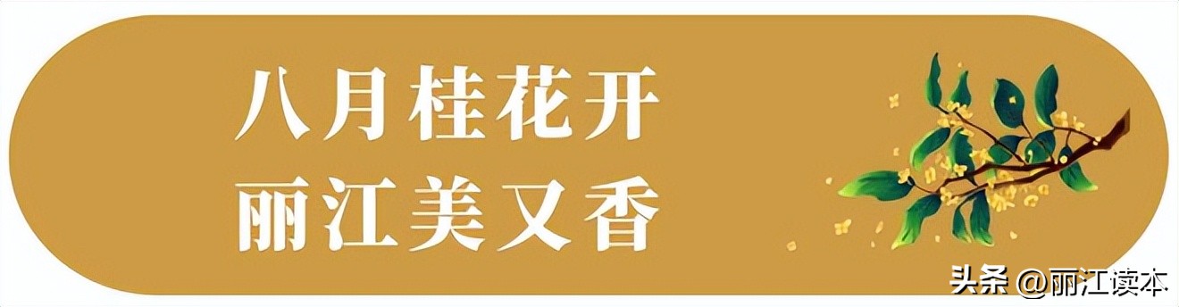 满城桂花香桂林,满城桂花香味