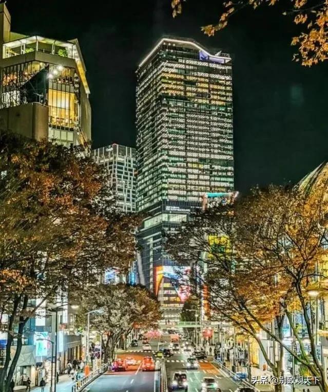 深度解析真实的日本,解读真实的日本人