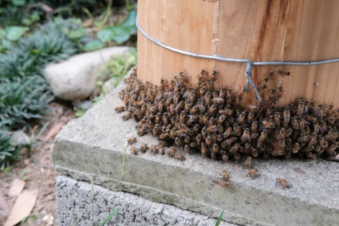 杭州冬日旅游自驾,杭州周边避暑两日自驾游攻略