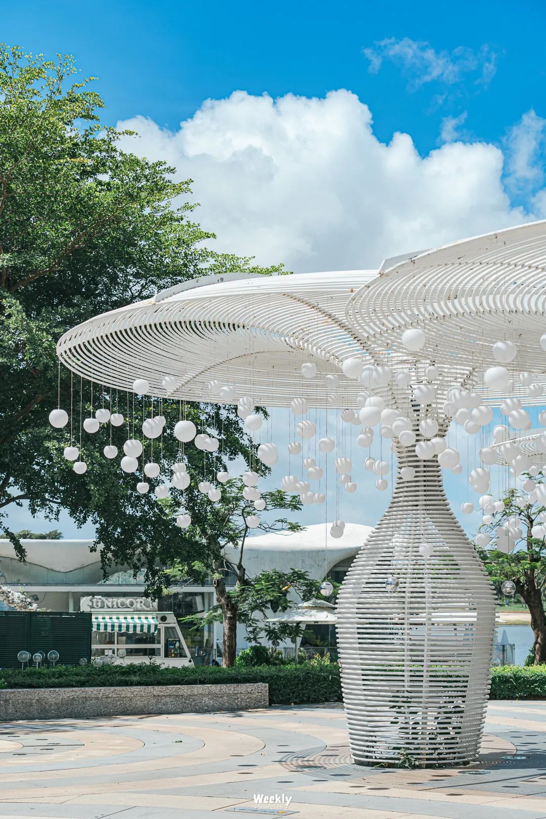 深圳欢乐谷游乐园,深圳十大必去游乐园