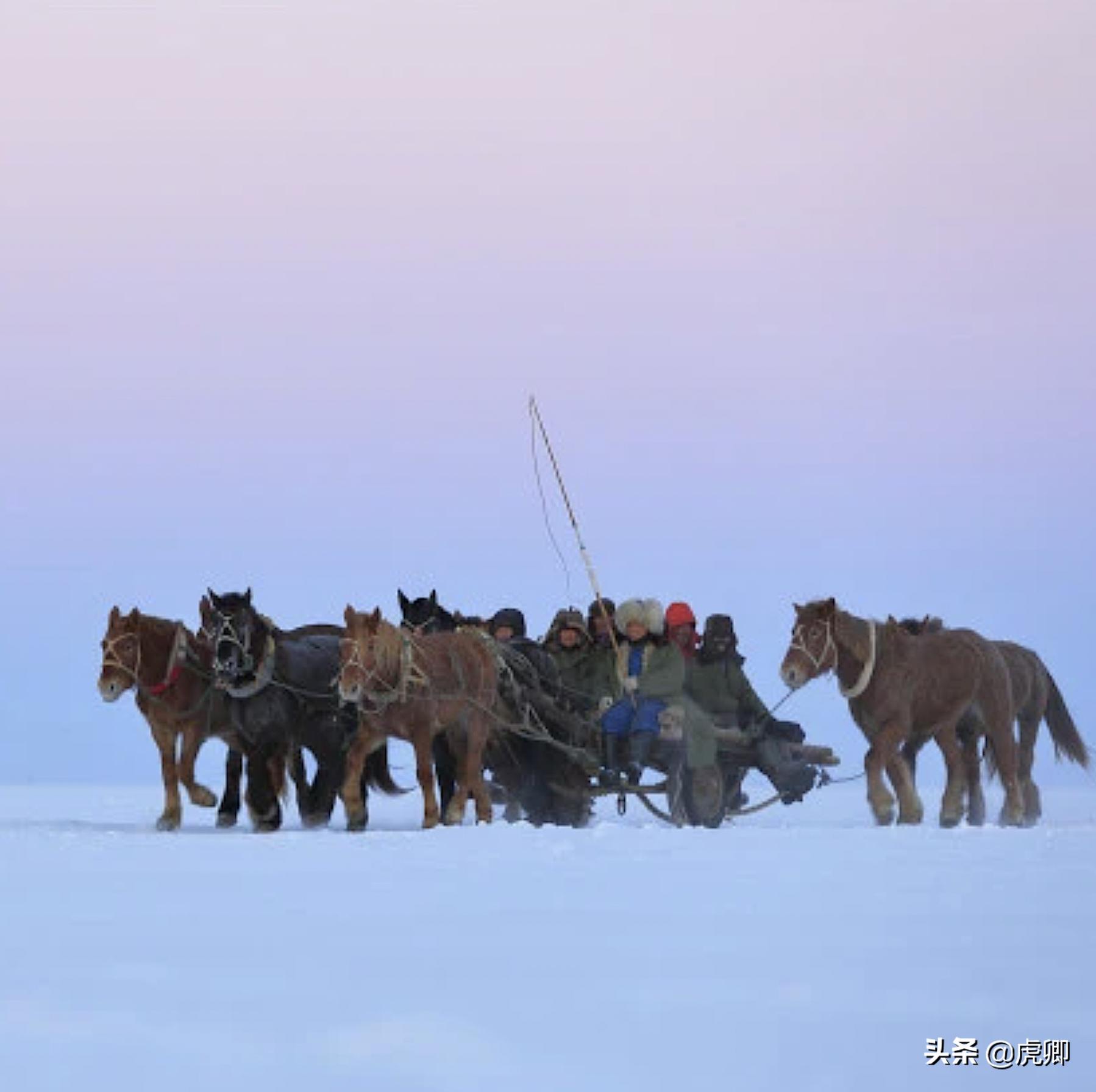 天价鱼是怎么曝光的,天价鱼野生