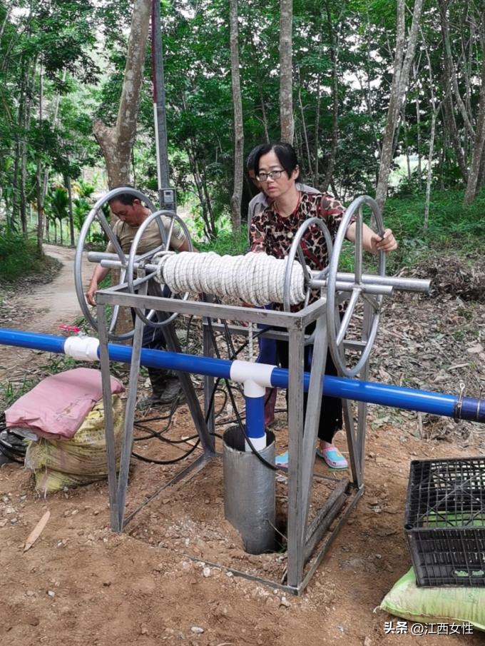 赣鄱巾帼创之粮食安全篇丨张海玲:一心育良种,倾情为百姓