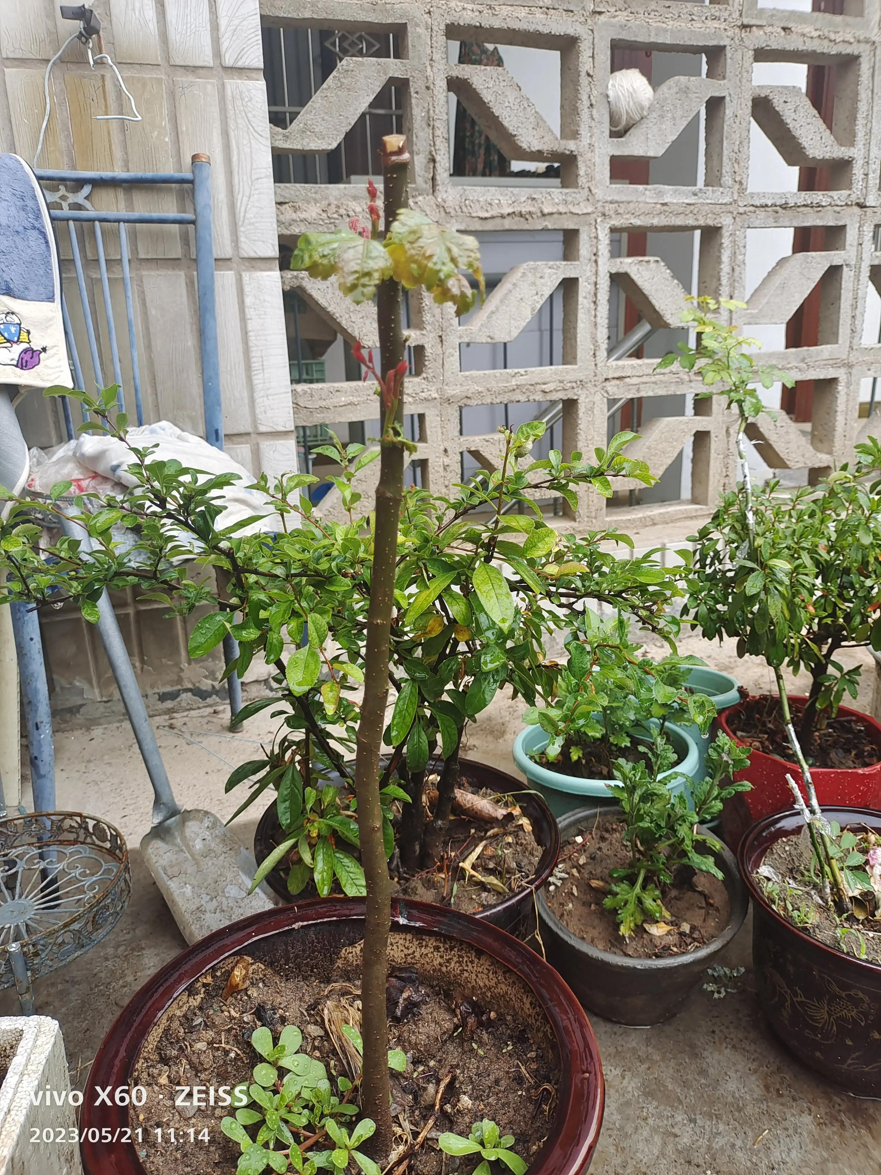 冤枉老公道歉怎么说,冤枉老公了又没勇气道歉怎么办