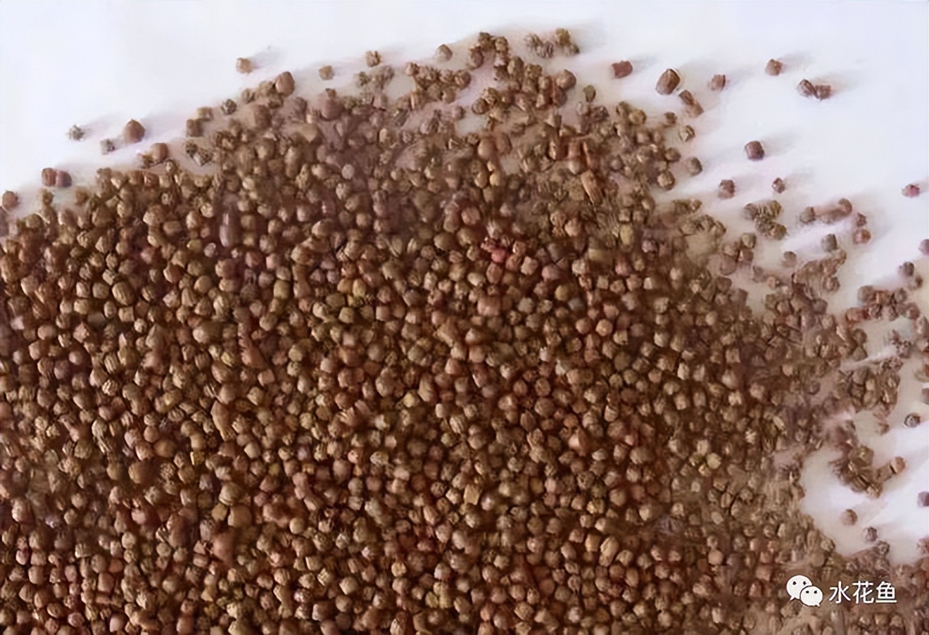 鱼饲料二合一,鱼饲料各种营养成分的含量