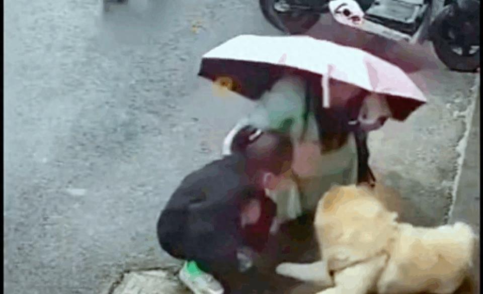 狗咬女人的事件原因,狗咬女孩子事件