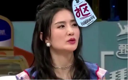 刘德华说谢娜脑筋有问题原视频,康辉刘德华评价谢娜