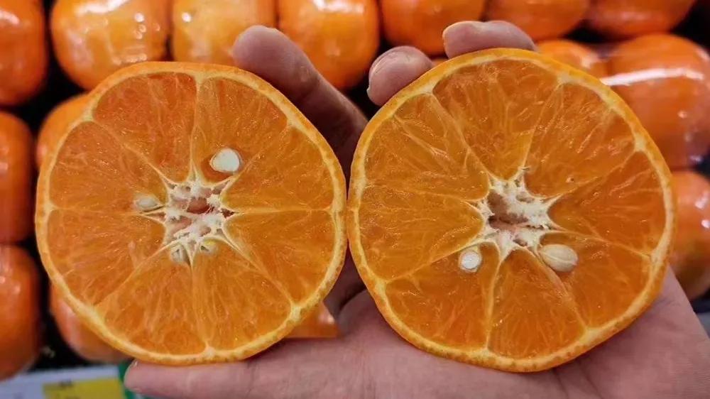 开水果店一年利润有多少钱,开水果店一般收入一年有多少