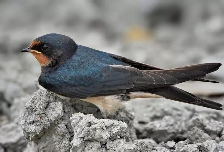 春分几月几日,春分节气适合穿啥衣服