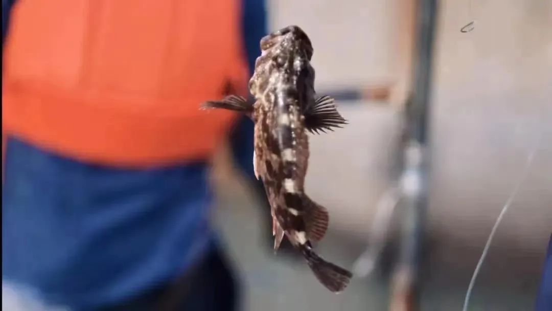 世界上被遗忘的小岛,大海中的神秘无人小岛