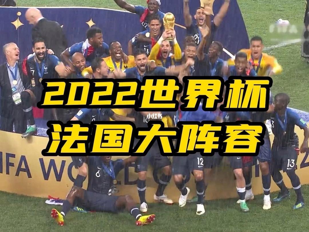 卡塔尔世界杯32强巡礼荷兰,卡塔尔世界杯法国队赛程回顾