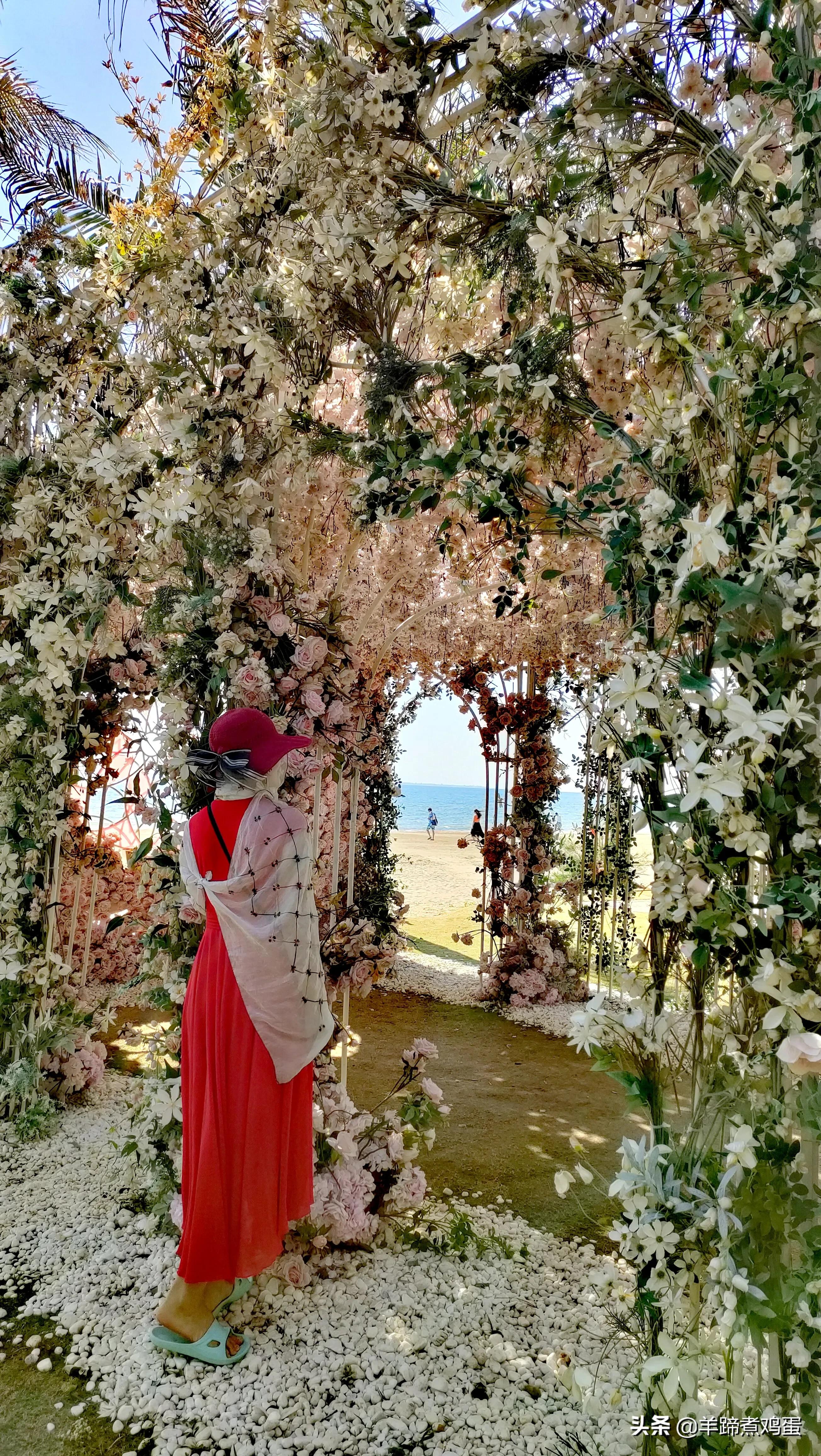 三亚椰梦长廊日落绝美,三亚湾椰梦长廊看夕阳最佳观赏点