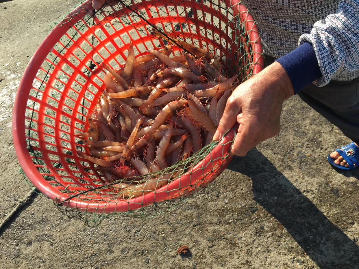 三亚海鲜避坑,三亚旅游海鲜避坑