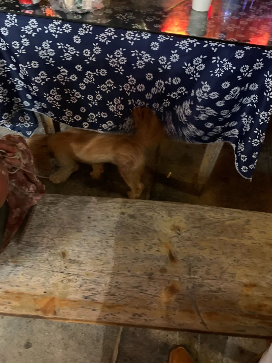 湖北莫愁村游玩攻略,湖北春节旅游莫愁村