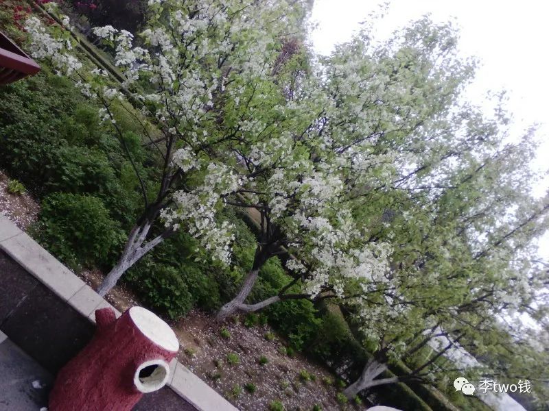 河南省风景花园,河南风景区公园