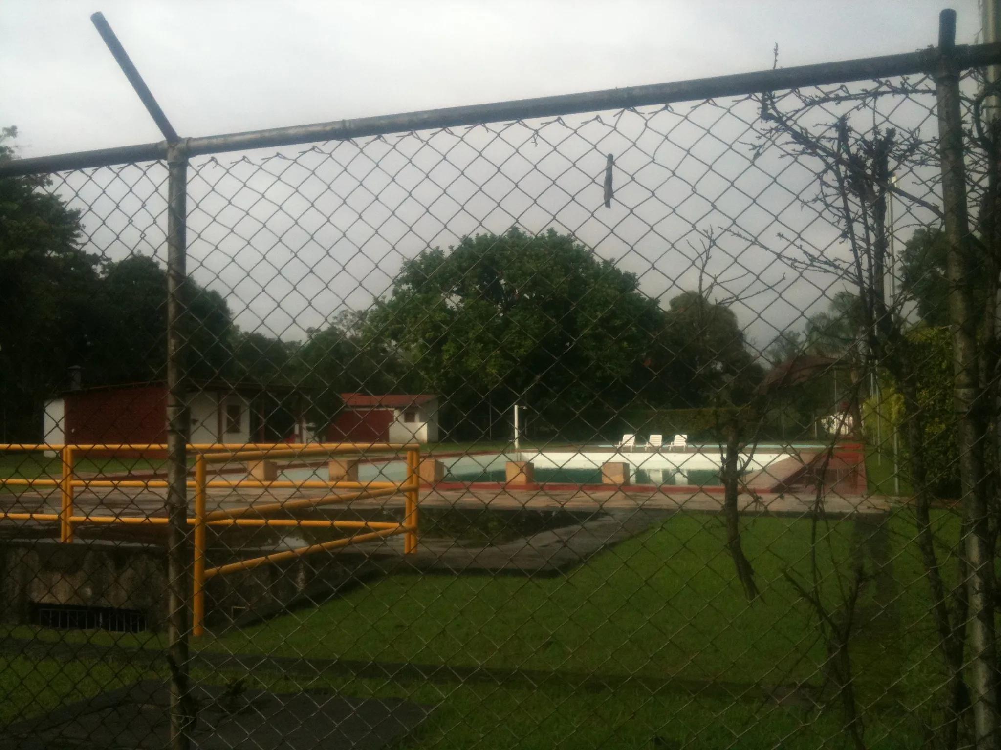 巴西贝利经典比赛,巴西足球赛完整视频