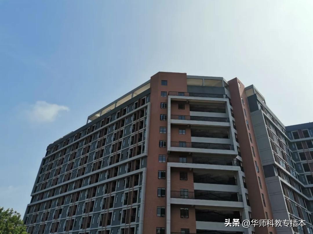 华南农业大学珠江学院信息工程,华南农业大学珠江学院形势与政策