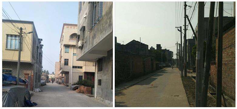 广东省雷州市松竹镇塘仔村,雷州松竹塘仔村