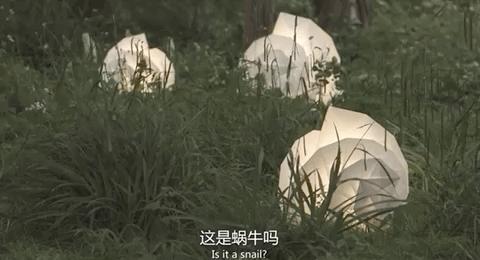 三宅一生的设计是什么,三宅一生设计大师