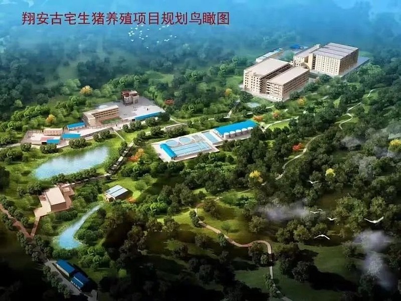 厦门上市股票有哪些,厦门的上市公司有哪几家