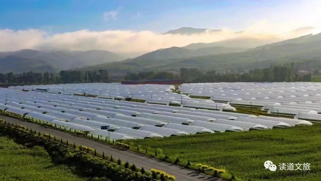 解析全国16个整村运营,解码全国16个整村运营经典案例