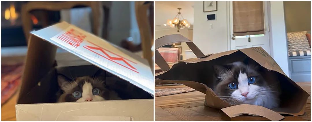 她分手了！上亿人不再相信爱情…