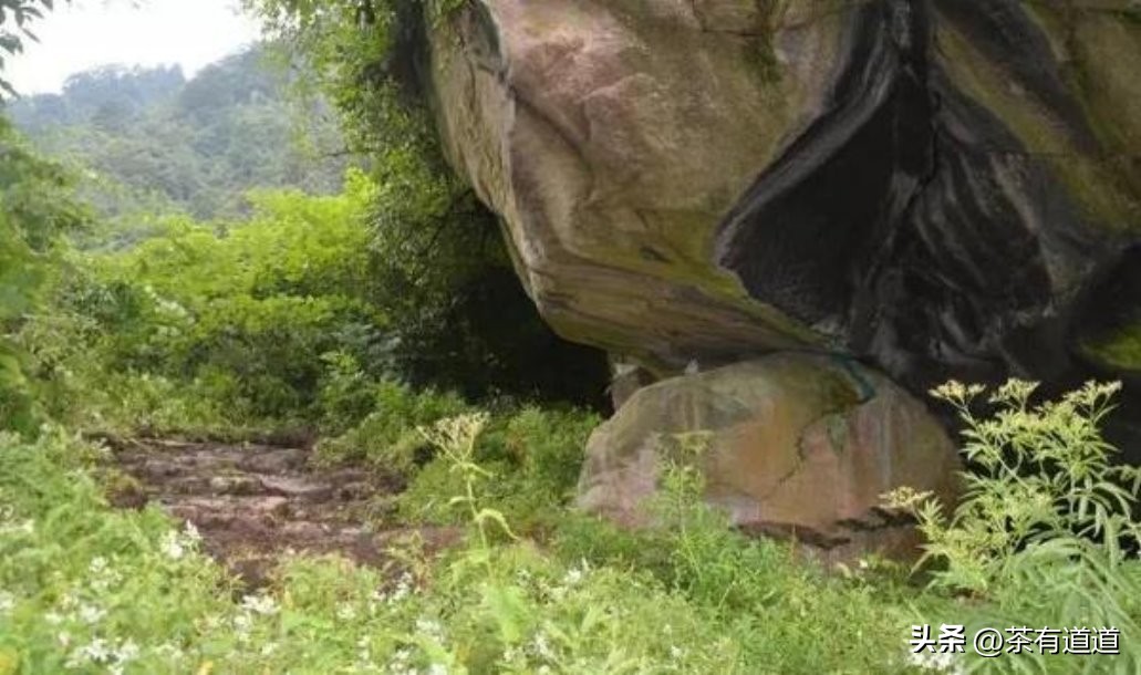 荥经茶马古道徒步线路,雅安荥经茶马古道穿越