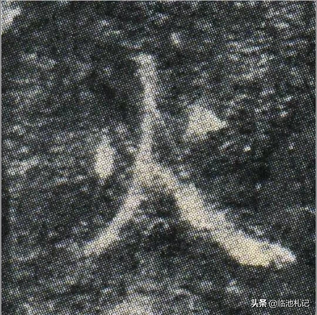 学习书法的笔顺规则的意义,书法笔顺名称和五大动作