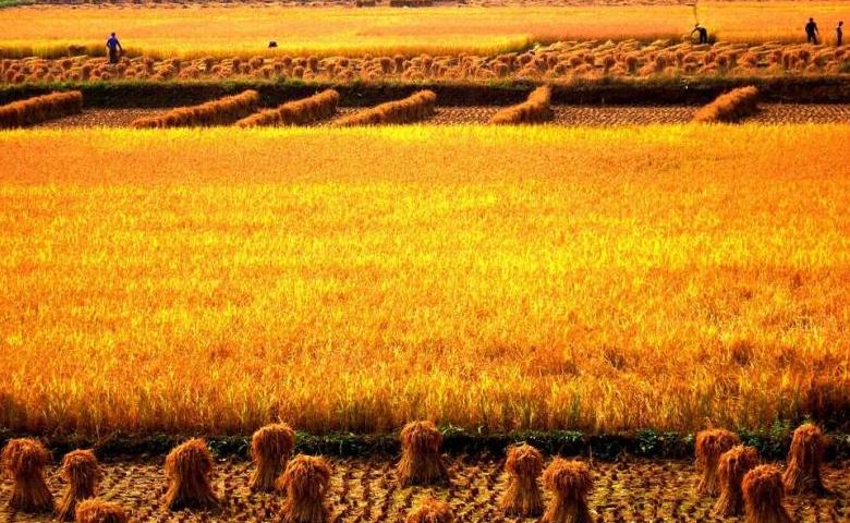 甘肃省各市颜值排名,甘肃省各市照片