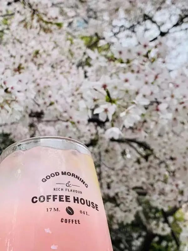 赏花有情调的餐厅推荐,虹口美食打卡