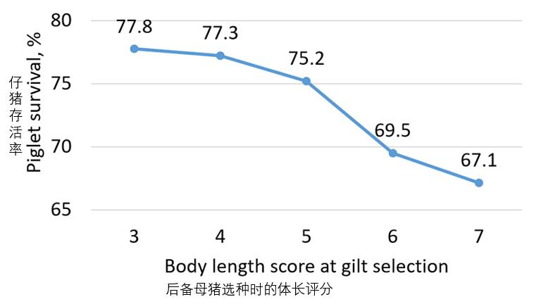 仔猪在产床需要看着吗,产床对仔猪有什么好处
