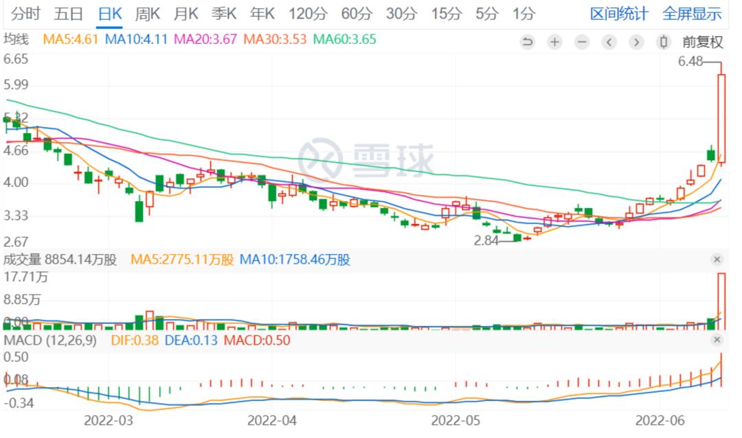 新东方双语为什么这么火,新东方双语走红说明了什么