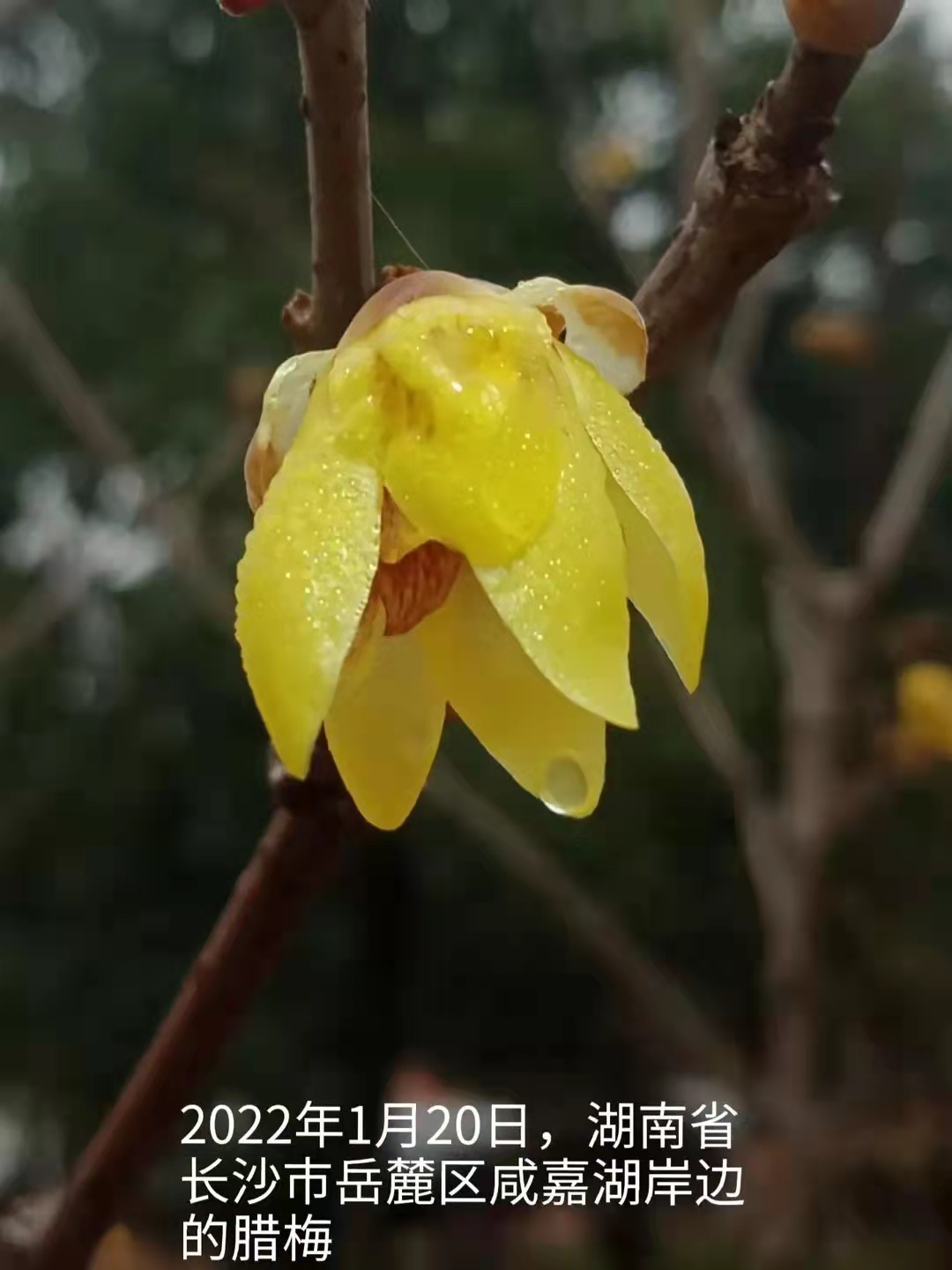 电脑启动有一个小棍在转,电脑开机有个小杠