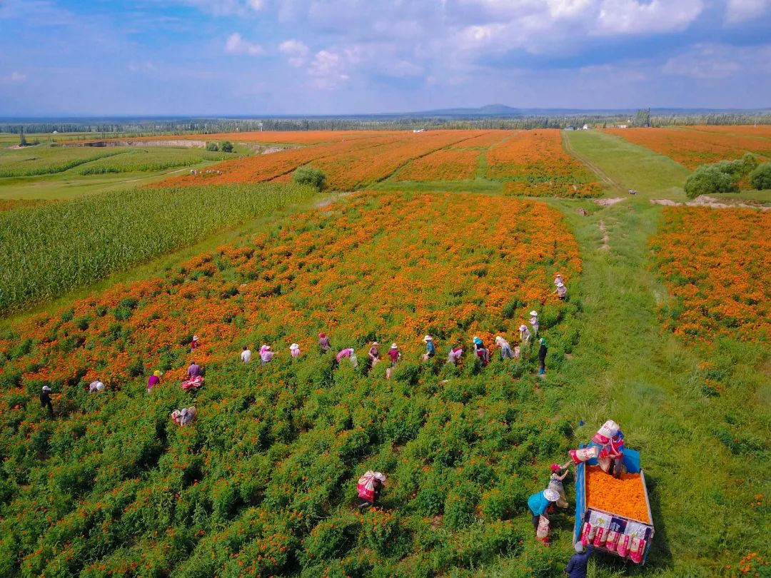 迎接党的20大美术作品,喜迎二十大乡村摄影展