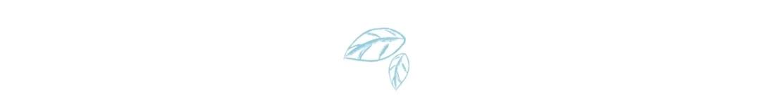 月升沧海里的袁善见是谁,月升沧海袁善见是谁