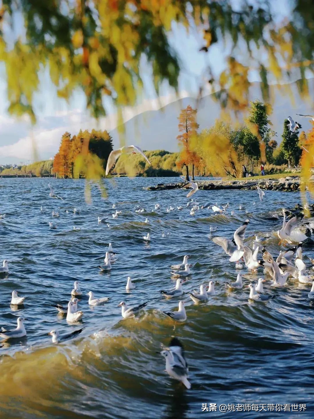 旅行云南团购,旅行云南推荐