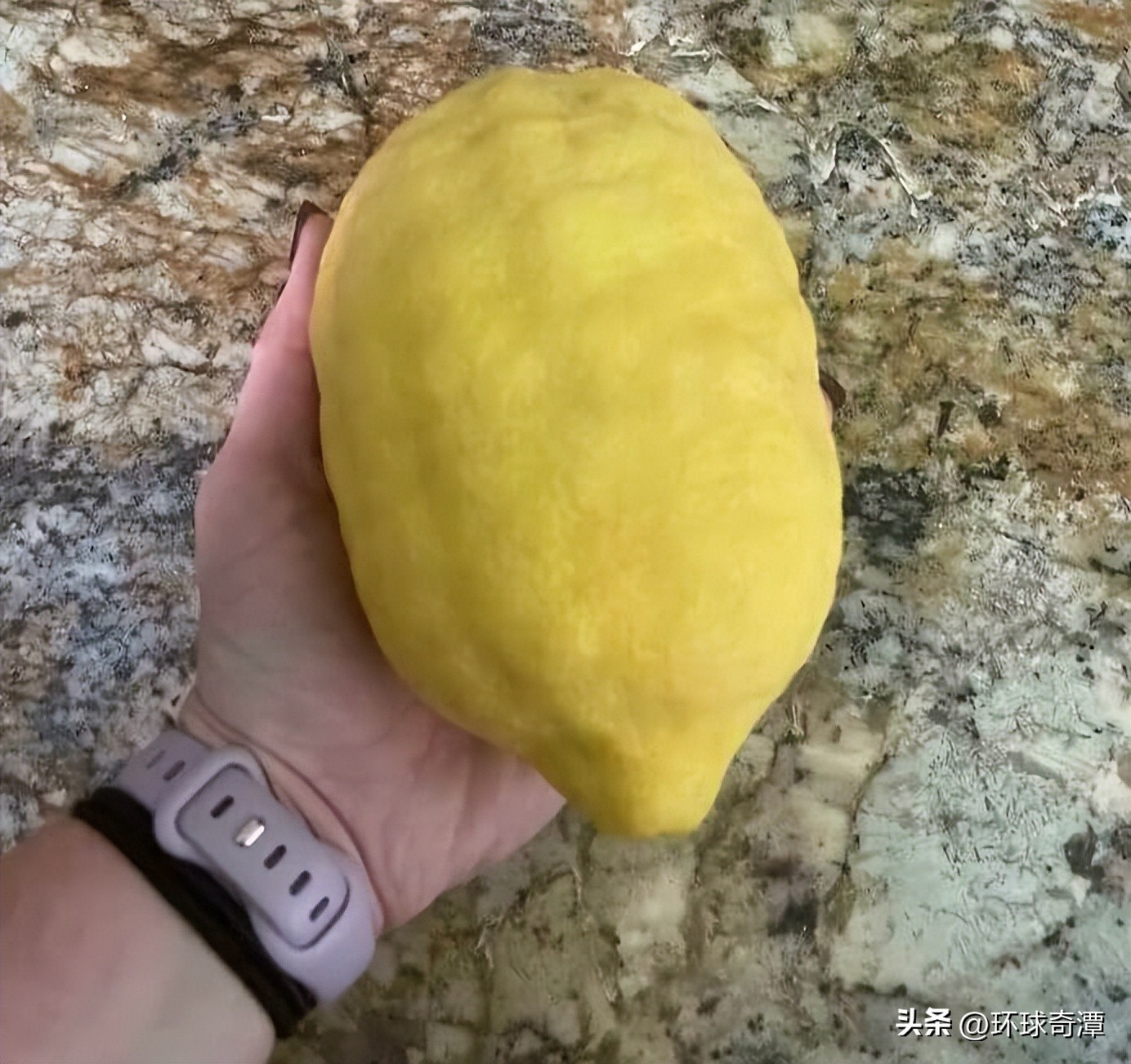 自然界中的庞然大物,自然界奇形怪状的东西