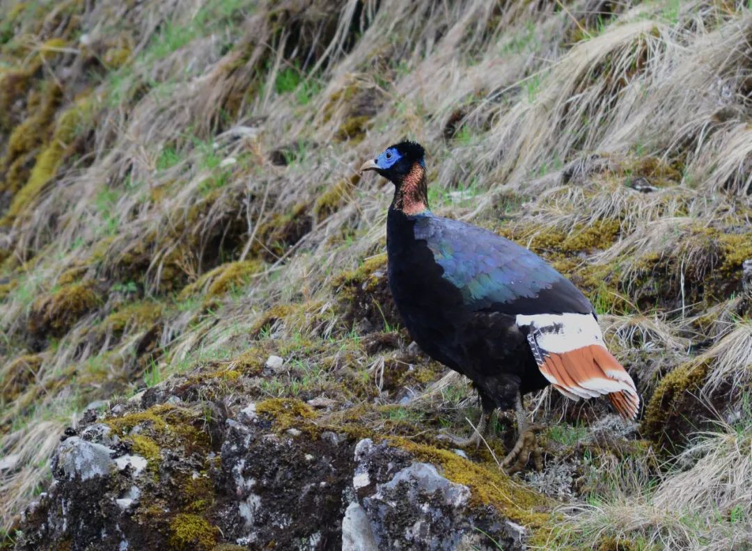 昆明七彩云南怎么样,七彩云南避暑家园
