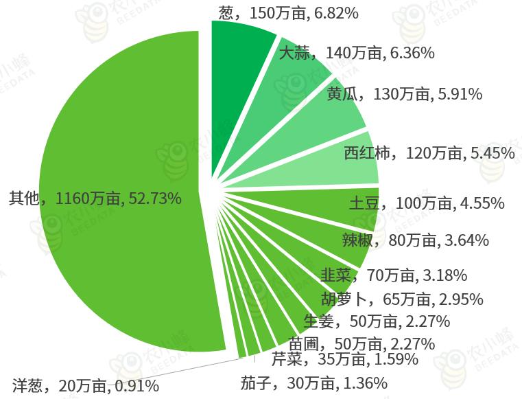 山东省蔬菜产业发展政策,山东蔬菜产业布局